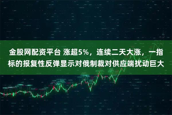 金股网配资平台 涨超5%，连续二天大涨，一指标的报复性反弹显示对俄制裁对供应端扰动巨大